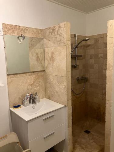 une salle de bain avec un lavabo et une douche dans l'établissement L'AAppartement, à Montréal