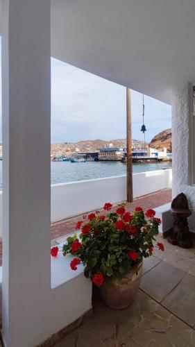 Gallery image of Ninfas 371 in Pucusana