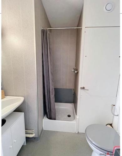 une petite salle de bain avec douche et toilettes dans l'établissement Le Courchevel à Grèsse, à Gresse-en-Vercors