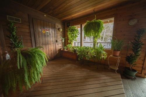 a porch with plants and a window in a cabin at Snowdance B102 by SummitCove Lodging in Keystone