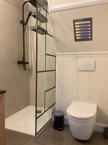 ヴレス・シュル・スモワにあるLe renard rouxのトイレとガラスのシャワー付きのバスルーム