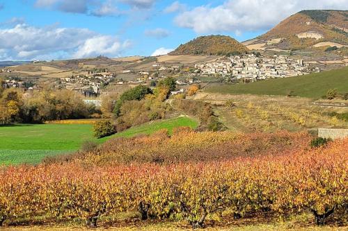 a small town on a hill with trees and houses at le palierou in Paulhe
