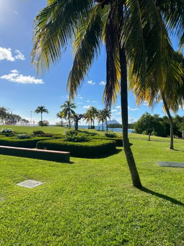 a palm tree in a grassy park with the ocean in the background at Kaz Caraïbes, piscine & plage in Sainte-Luce