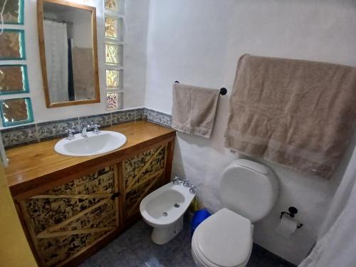 ein Badezimmer mit Waschbecken, Toilette und Spiegel in der Unterkunft Posada Boutique- Casa de Campo Arroyo Huirihuiri in Aluminé