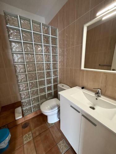 a bathroom with a toilet and a sink and a mirror at Apartamentos y Habitaciones Villa Marina in La Caleta