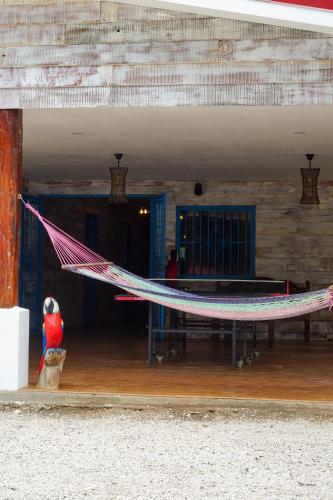 a hammock in the middle of a building at La Puesta del Sol B&B in Carrillo