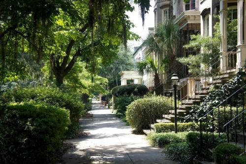 Giardino di Cozy Home in Downtown close to Forsythe park