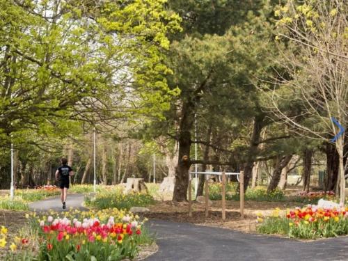 a person walking down a path in a park with flowers at Deluxe Seaview Apartment in Dun Laoghaire