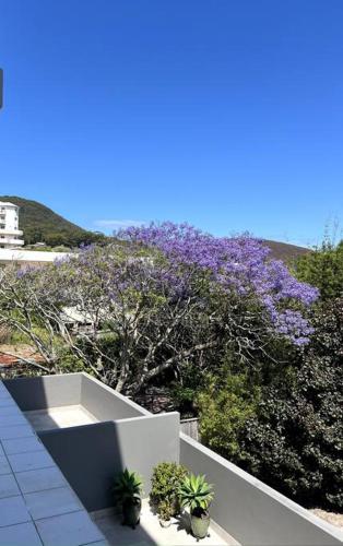 a balcony with plants and purple flowers on a hill at Shoal Vibes in Shoal Bay