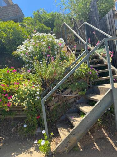 a set of stairs with flowers in a garden at Mar&cielo in Zapallar