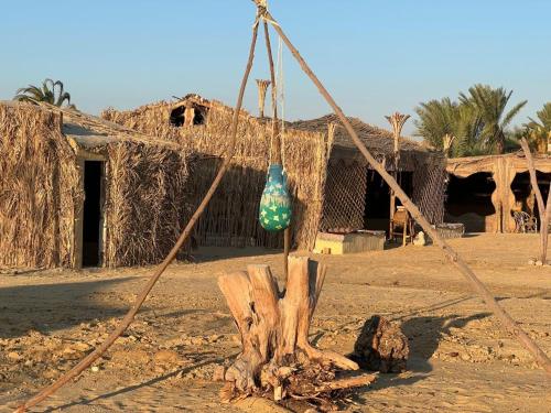 a bag hanging from a tree stump in front of a hut at Sun & Fun Camp Fayoum in Fayoum Center
