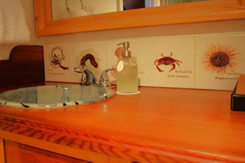 a bathroom counter with a sink and a soap dispenser at Sooke Harbour House in Sooke