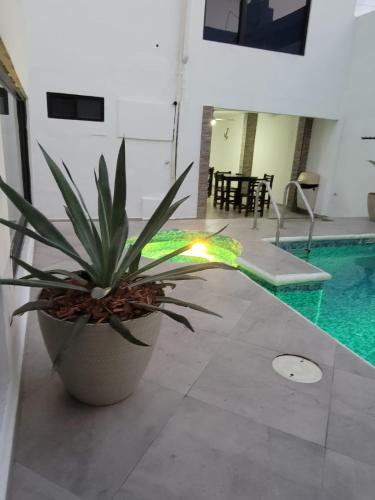Piscina en o cerca de FIESTA MIRAMAR