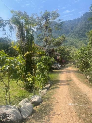 a dirt road next to a house on a mountain at Hostería CASA SAN LUIS in Mindo