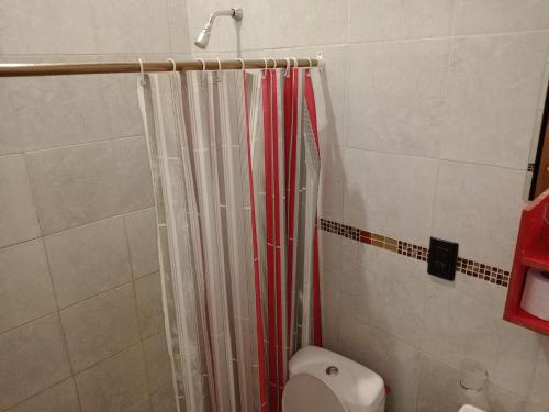 a bathroom with a shower and a toilet at ALQUILER POR DIA EN MALARGÜE 2 Céntrico in Malargüe
