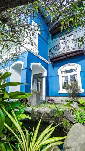 a blue house with a white window and plants at Villa Hotel Rung Thong Da Lat in Xuan An