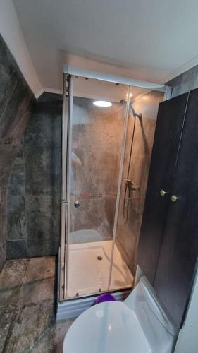 a bathroom with a shower and a toilet in it at Domos munaQ in San Javier