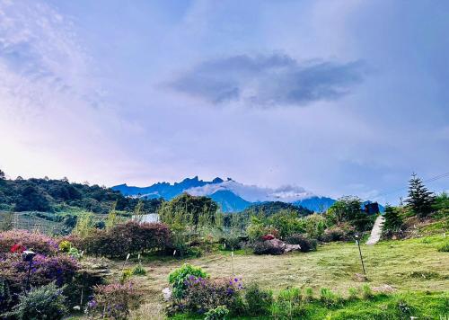 a view of a field with mountains in the background at AmanLo by Aman Homestay in Ranau