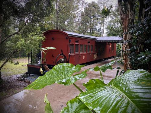 Mount NeboMt Nebo Railway Carriage and Chalet的坐在花园中的红色火车车
