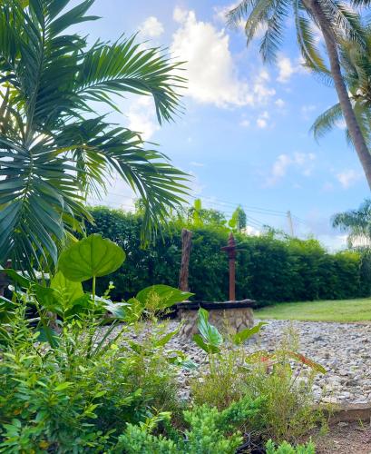 a garden with a bench and a palm tree at บ้านไร่ดอกแก้ว in Chom Bung