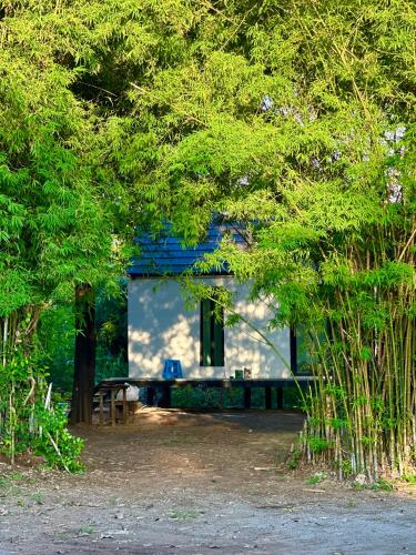 a house with a blue roof behind some trees at บ้านไร่ดอกแก้ว in Chom Bung