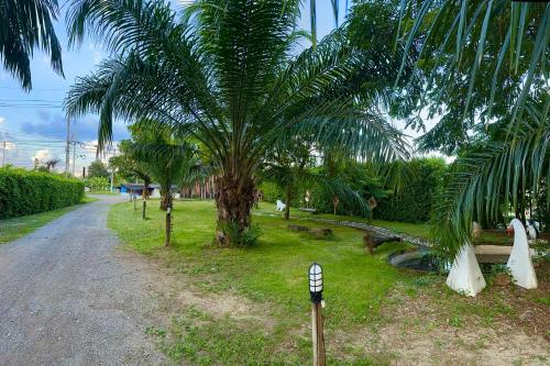 a palm tree and a parking meter next to a road at บ้านไร่ดอกแก้ว in Chom Bung