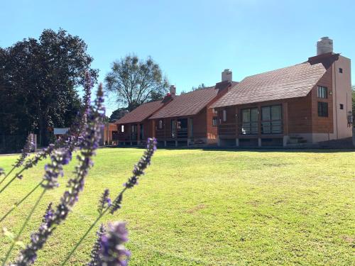 une maison avec un champ d'herbe et de fleurs violettes dans l'établissement Cabaña cerca de la naturaleza, a 20min de Valle, à Valle de Bravo