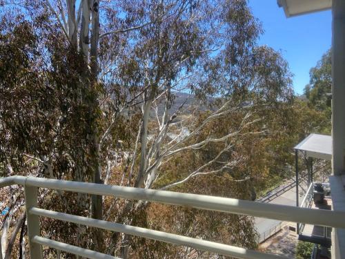 a view from the balcony of a house with trees at Inala 3 - Thredbo in Thredbo