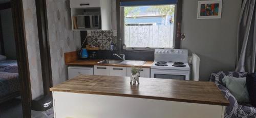Η κουζίνα ή μικρή κουζίνα στο Tokaanu Lodge Motel