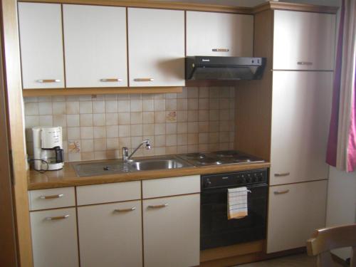 Kuchyň nebo kuchyňský kout v ubytování Appartement Gutwenger