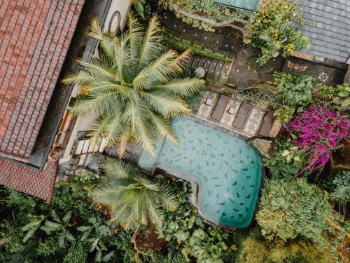 an overhead view of a swimming pool with a palm tree at The Iyang Ubud in Ubud