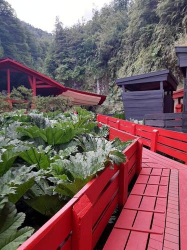 a garden with tomatoes and lettuce in a red bench at Lakustre Cabins - Acogedora cabañita de campo a 7 min de Panguipulli in Panguipulli