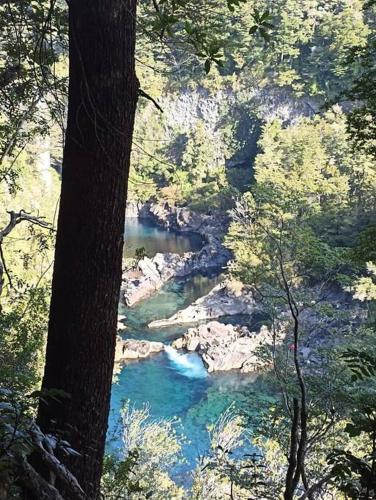 a view of a river in the middle of a forest at Lakustre Cabins - Acogedora cabañita de campo a 7 min de Panguipulli in Panguipulli