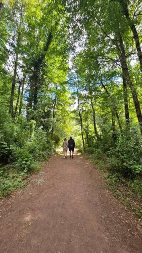 a couple of people walking down a dirt road at Lakustre Cabins - Acogedora cabañita de campo a 7 min de Panguipulli in Panguipulli
