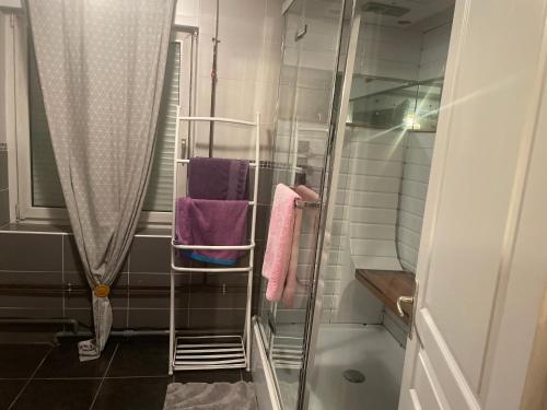 La salle de bains est pourvue d'une douche et de serviettes sur un portant. dans l'établissement chambre calme proximité aéroport, à Pusignan