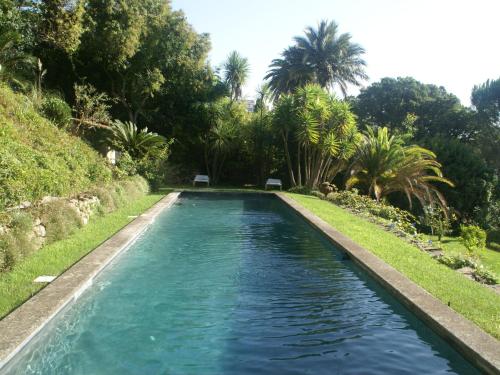 カンヌにある18th century villa in Cannes with poolのヤシの木が茂る庭の青い水のプール