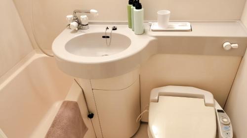 Ванная комната в Hotel Higashihiroshima Hills Saijo