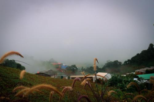 Landskap semula jadi dekat dengan homestay
