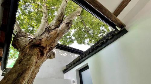 a tree in the middle of a building at Youxiake Canal Hotel Hangzhou in Hangzhou