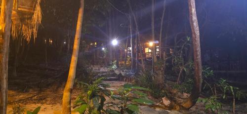 a forest at night with palm trees and lights at Sambath Sakseth Bungalow in Koh Rong Island