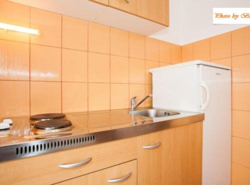 une petite cuisine avec un évier et un réfrigérateur dans l'établissement Apartments Bionda, à Novi Vinodolski