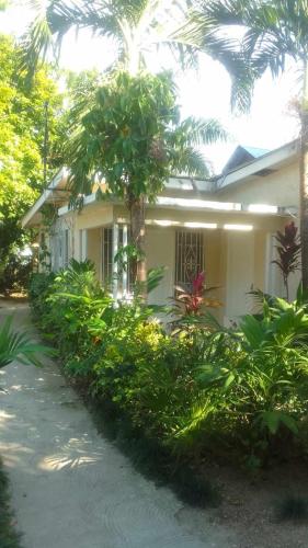 a house with a lot of plants in front of it at T&T - Tatty and Tony Guesthouse in Negril