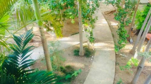 a view of a garden with palm trees and a sidewalk at T&T - Tatty and Tony Guesthouse in Negril