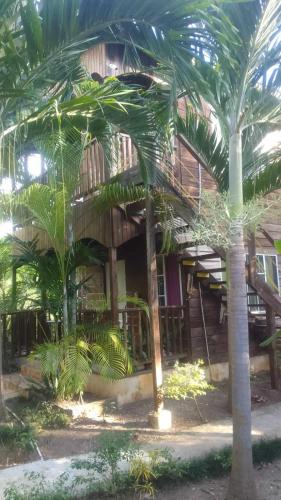 a wooden building with palm trees in front of it at T&T - Tatty and Tony Guesthouse in Negril