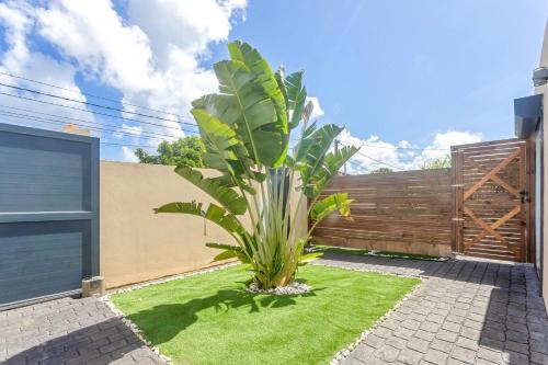 a palm tree in a yard next to a fence at Les Villas Jasmin Standing Piscine Chauffée Jacuzzi 5 Ch 14 Pers in Baie-Mahault