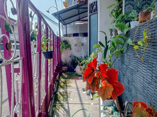 Κήπος έξω από το Trihakso Guest House near Kaliurang RedPartner
