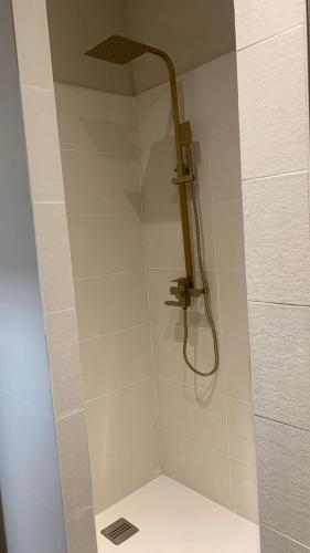 a shower with a shower head in a bathroom at Âme O des Flandres La Romantique in Boeschèpe
