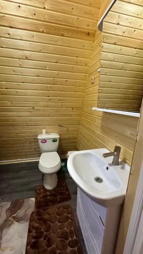 a bathroom with a toilet and a sink at Eco Resort Kaiyrma in Bokonbayevo