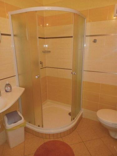 a bathroom with a shower and a toilet at Penzion u Dyje in Bulhary