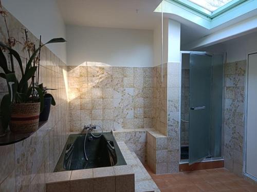 La salle de bains est pourvue d'un lavabo noir et d'une douche. dans l'établissement maison face au château, à Chaumont-sur-Loire